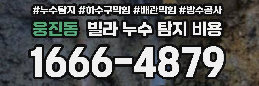 웅진동 빌라 누수 탐지 비용