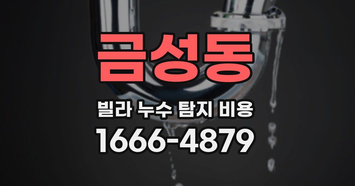 금성동 빌라 누수 탐지 비용