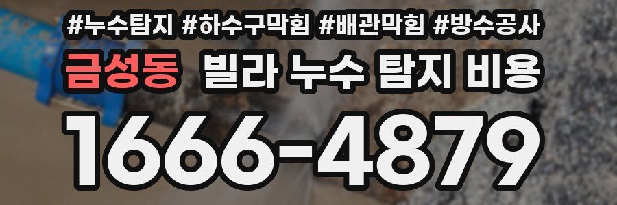 금성동 빌라 누수 탐지 비용