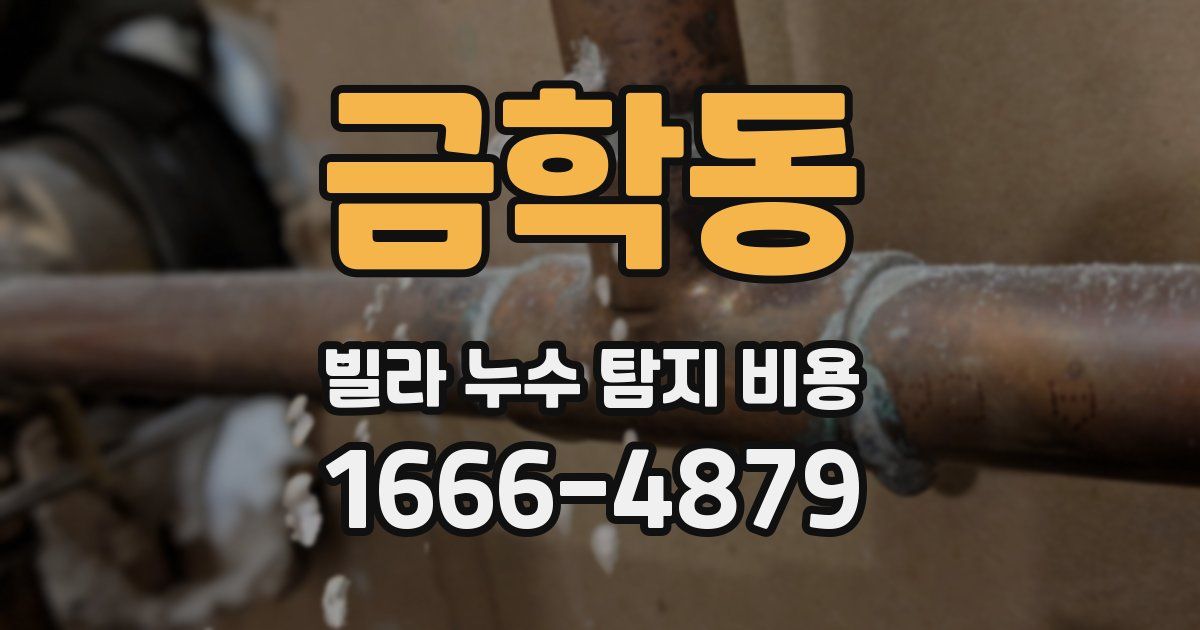 금학동 빌라 누수 탐지 비용