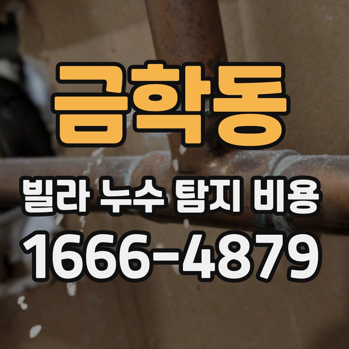 금학동 빌라 누수 탐지 비용