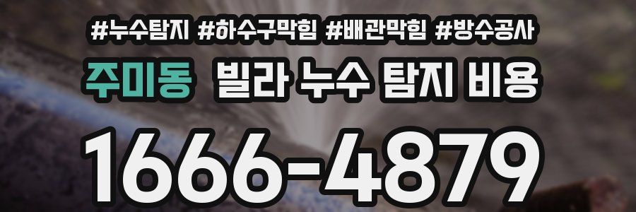 주미동 빌라 누수 탐지 비용