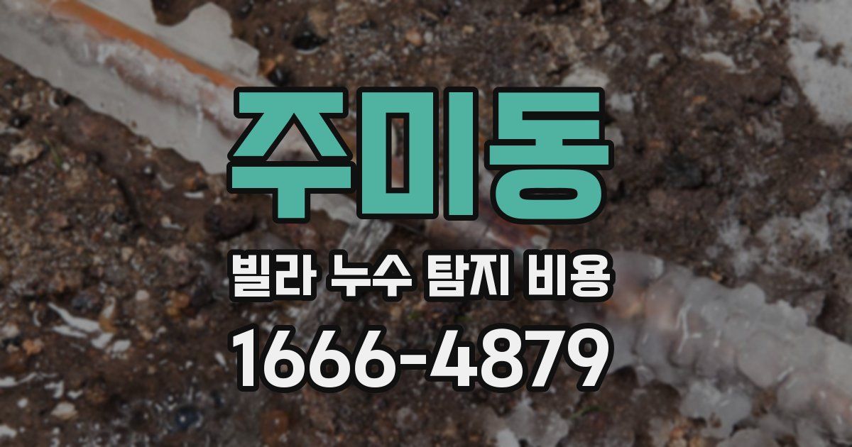주미동 빌라 누수 탐지 비용