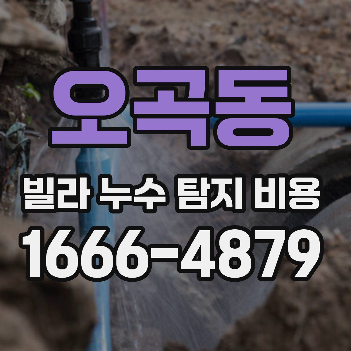 오곡동 빌라 누수 탐지 비용