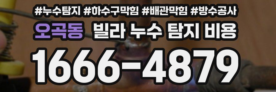 오곡동 빌라 누수 탐지 비용