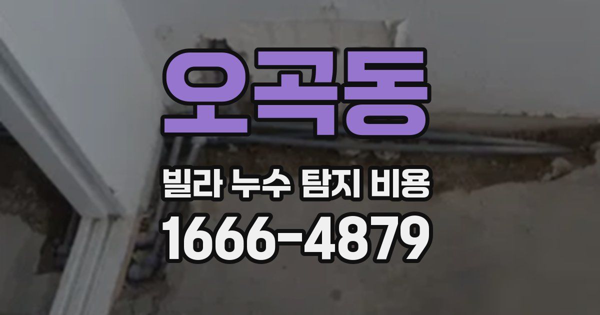 오곡동 빌라 누수 탐지 비용