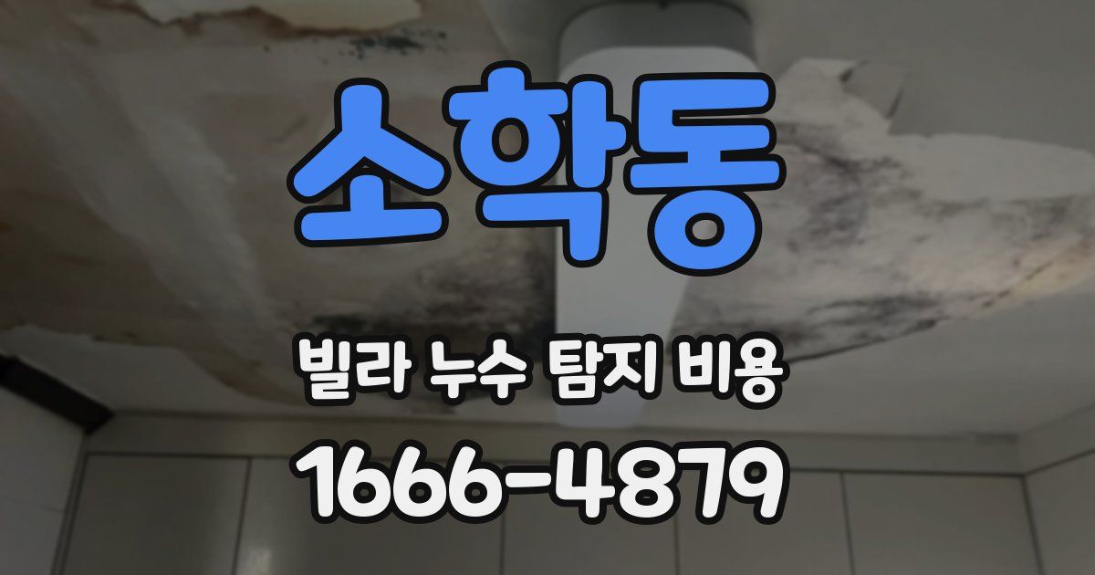 소학동 빌라 누수 탐지 비용