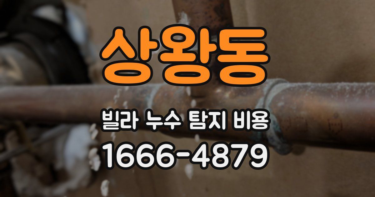 상왕동 빌라 누수 탐지 비용