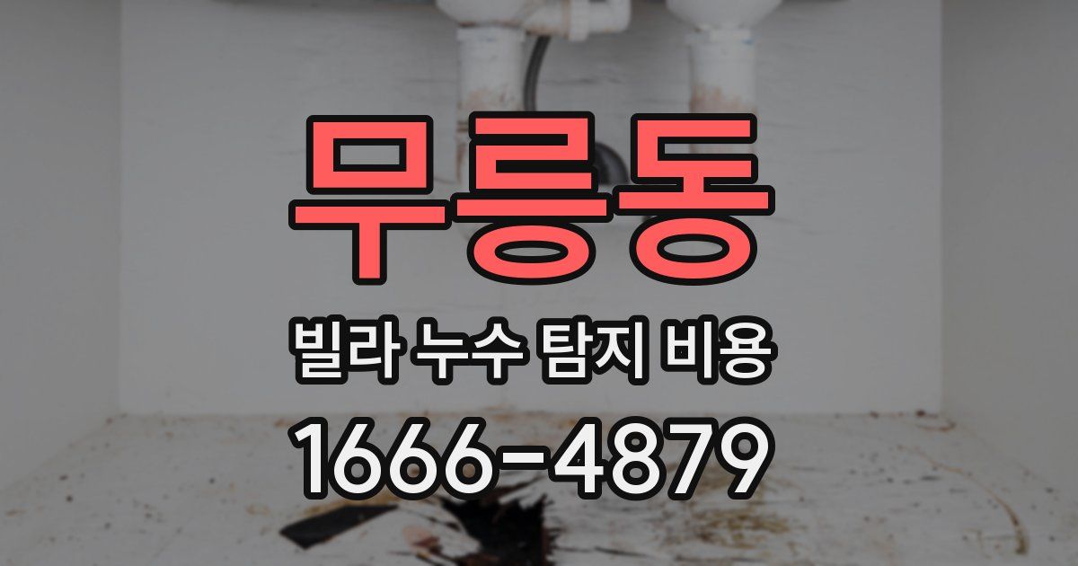 무릉동 빌라 누수 탐지 비용