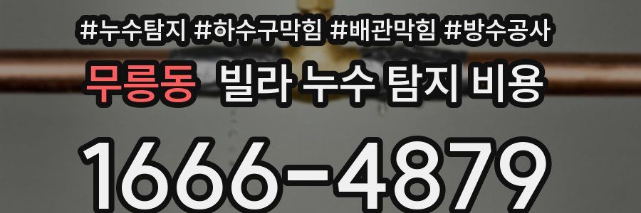무릉동 빌라 누수 탐지 비용
