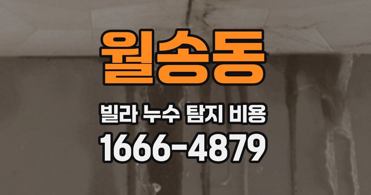 월송동 빌라 누수 탐지 비용