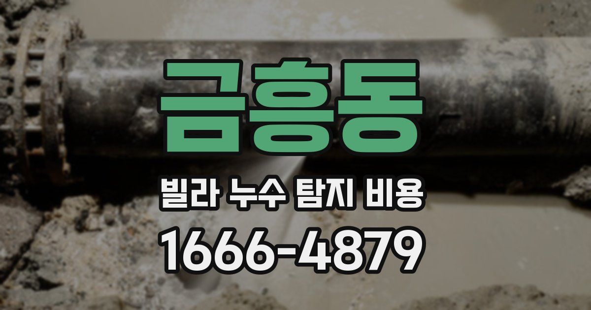 금흥동 빌라 누수 탐지 비용