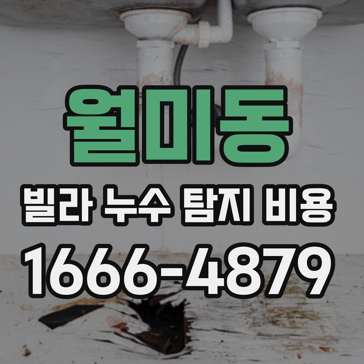 월미동 빌라 누수 탐지 비용