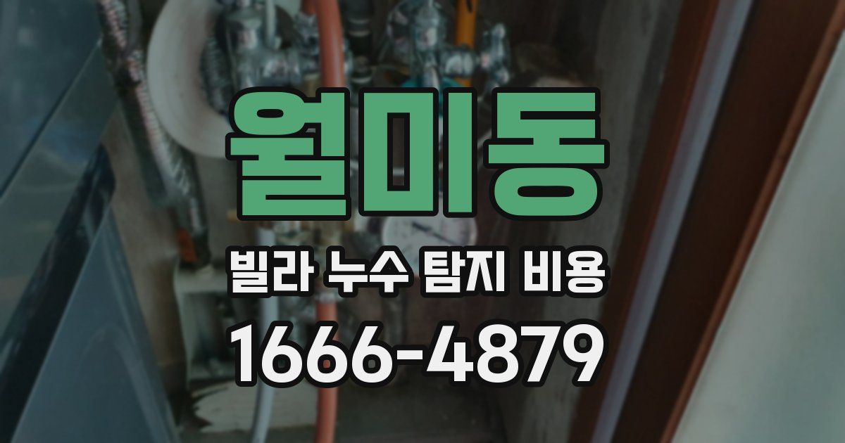 월미동 빌라 누수 탐지 비용