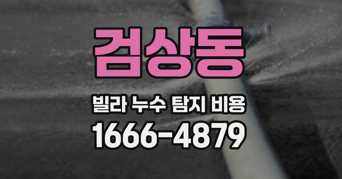 검상동 빌라 누수 탐지 비용