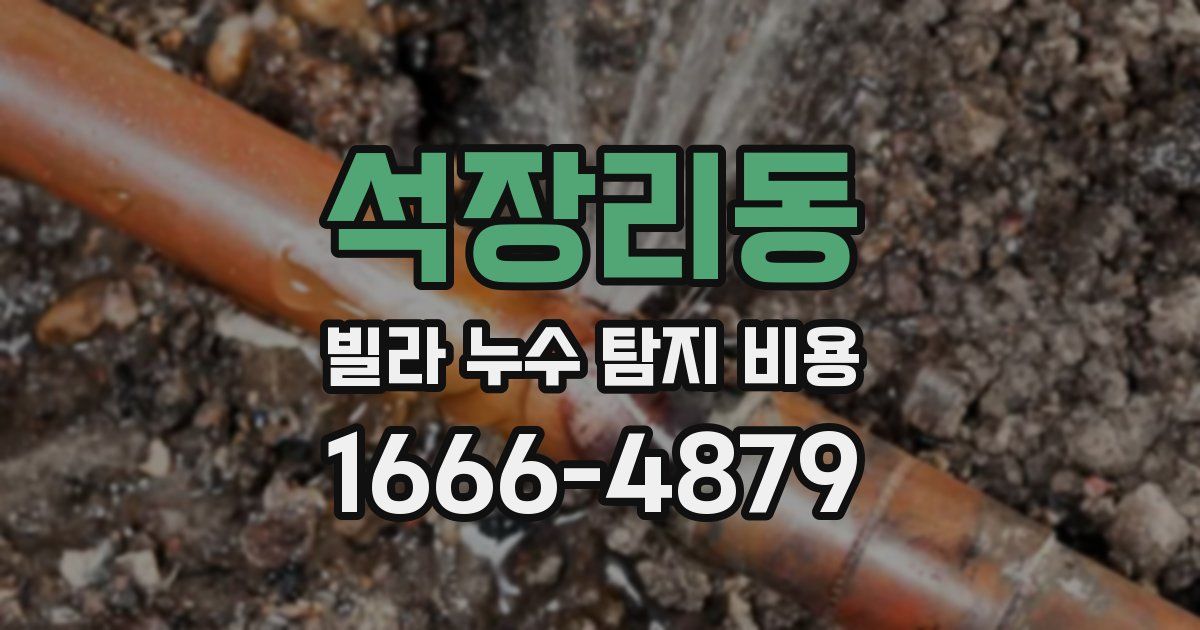 석장리동 빌라 누수 탐지 비용