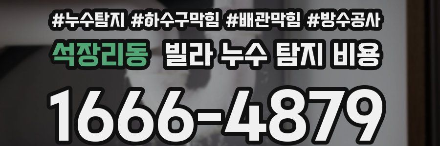 석장리동 빌라 누수 탐지 비용