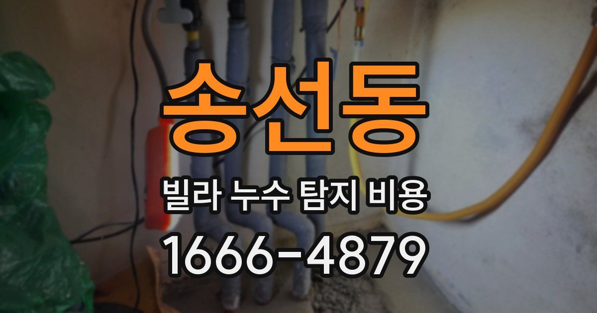송선동 빌라 누수 탐지 비용