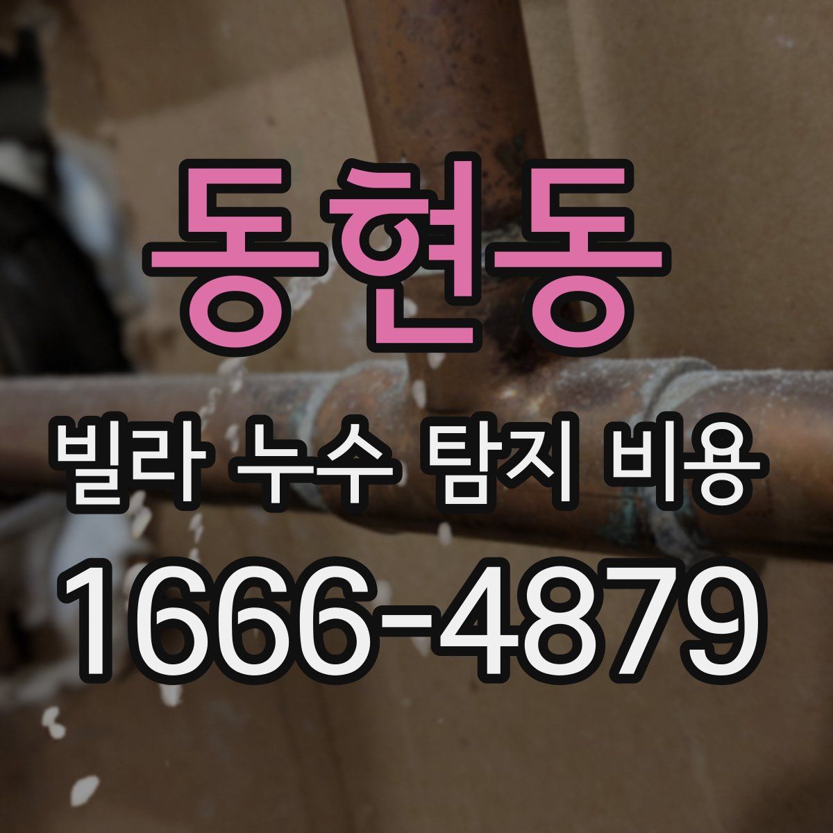 동현동 빌라 누수 탐지 비용