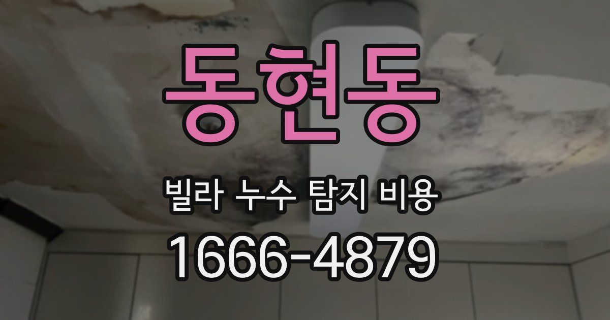 동현동 빌라 누수 탐지 비용