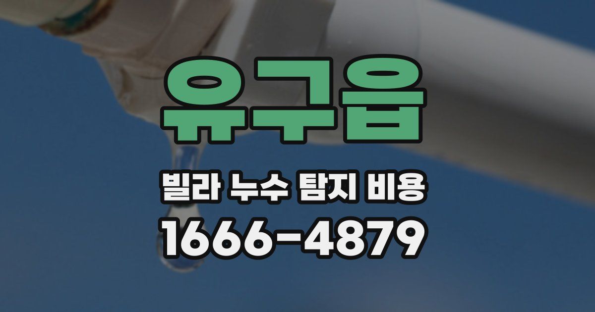 유구읍 빌라 누수 탐지 비용