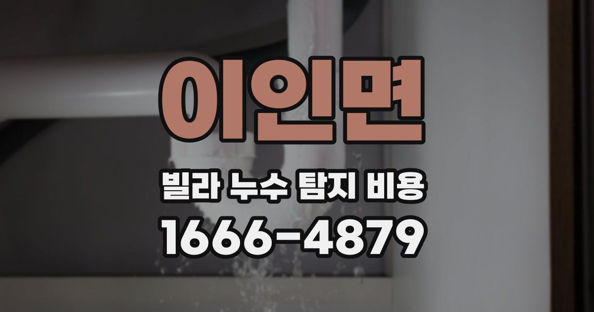 이인면 빌라 누수 탐지 비용