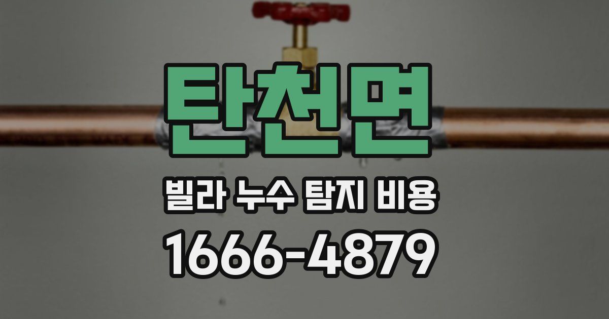 탄천면 빌라 누수 탐지 비용