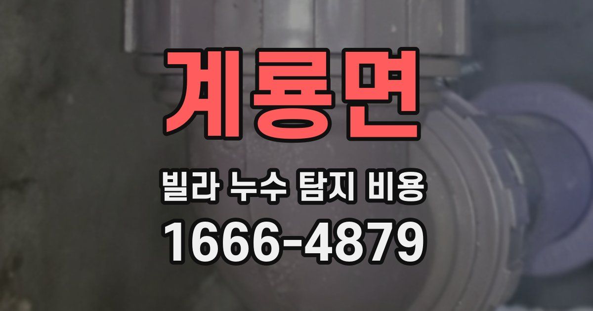 계룡면 빌라 누수 탐지 비용