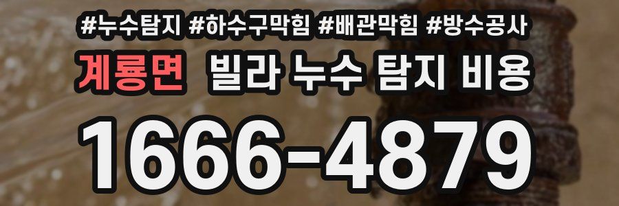 계룡면 빌라 누수 탐지 비용