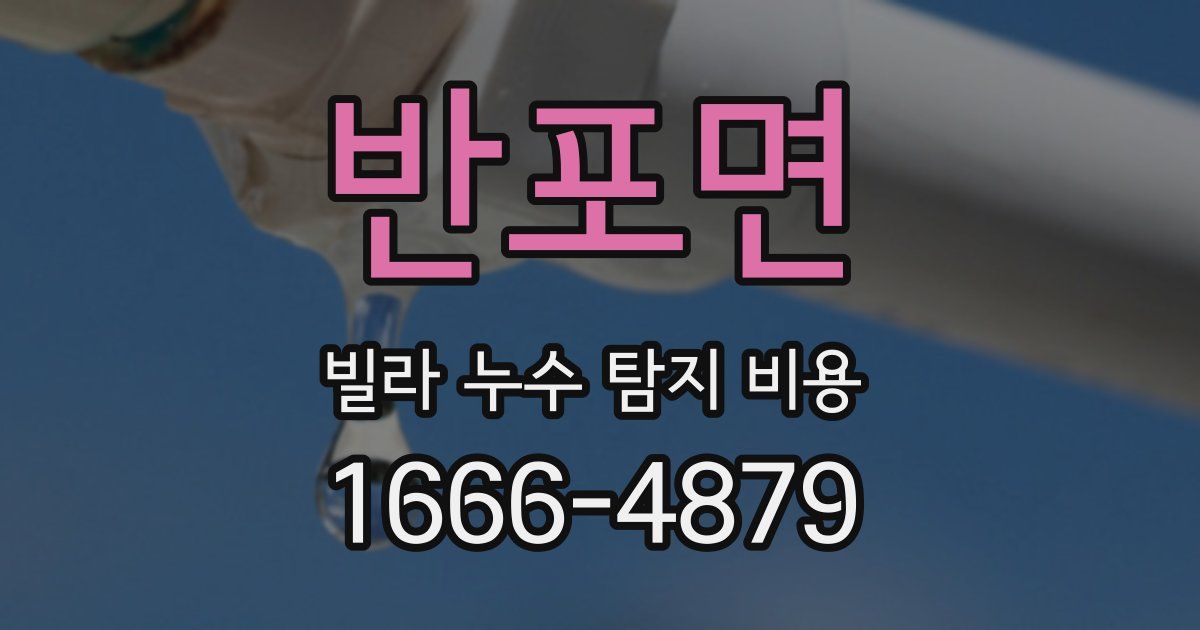 반포면 빌라 누수 탐지 비용