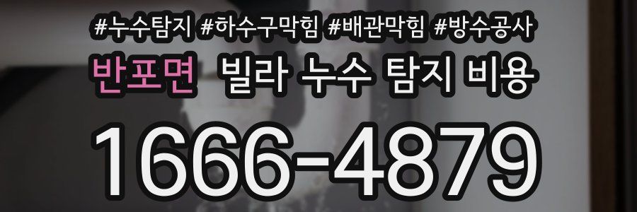 반포면 빌라 누수 탐지 비용