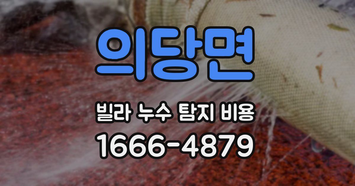 의당면 빌라 누수 탐지 비용