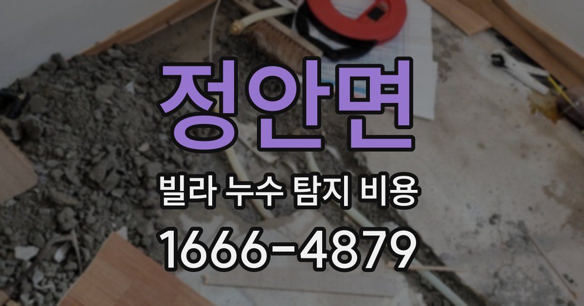 정안면 빌라 누수 탐지 비용