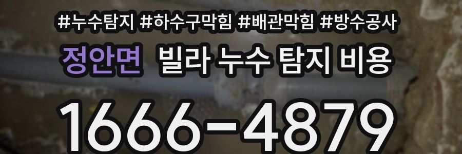 정안면 빌라 누수 탐지 비용