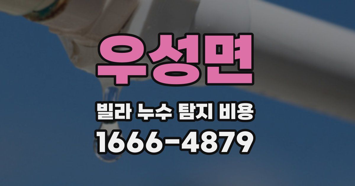 우성면 빌라 누수 탐지 비용