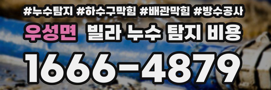 우성면 빌라 누수 탐지 비용