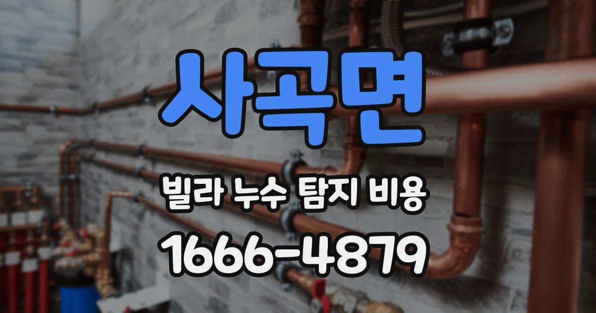 사곡면 빌라 누수 탐지 비용