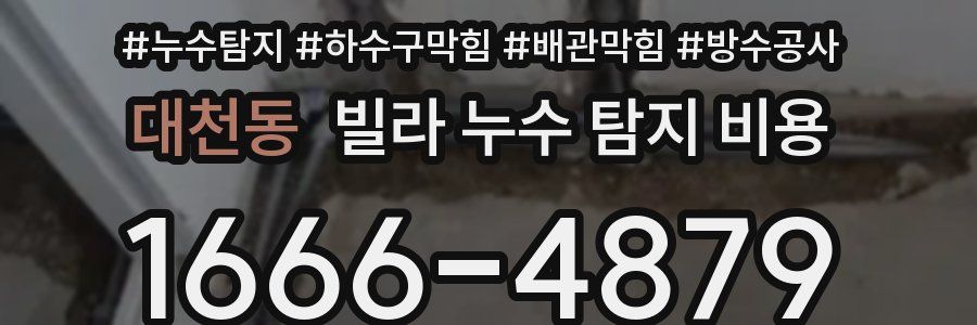 대천동 빌라 누수 탐지 비용