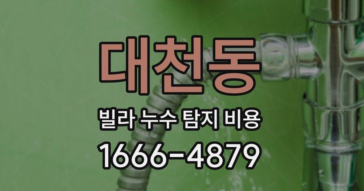 대천동 빌라 누수 탐지 비용
