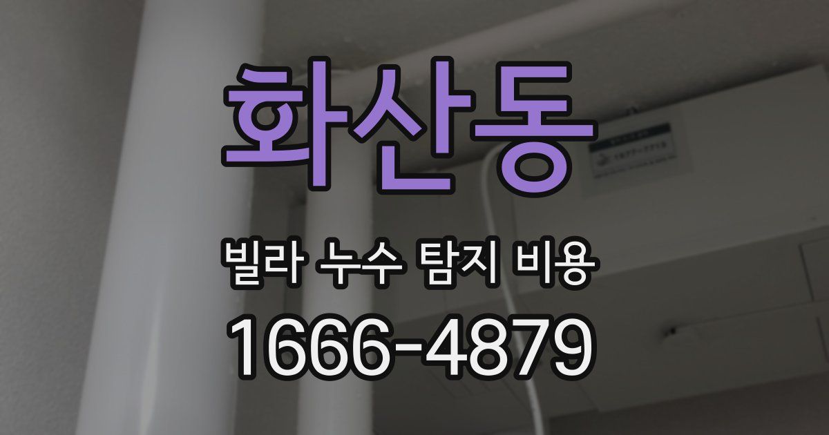 화산동 빌라 누수 탐지 비용