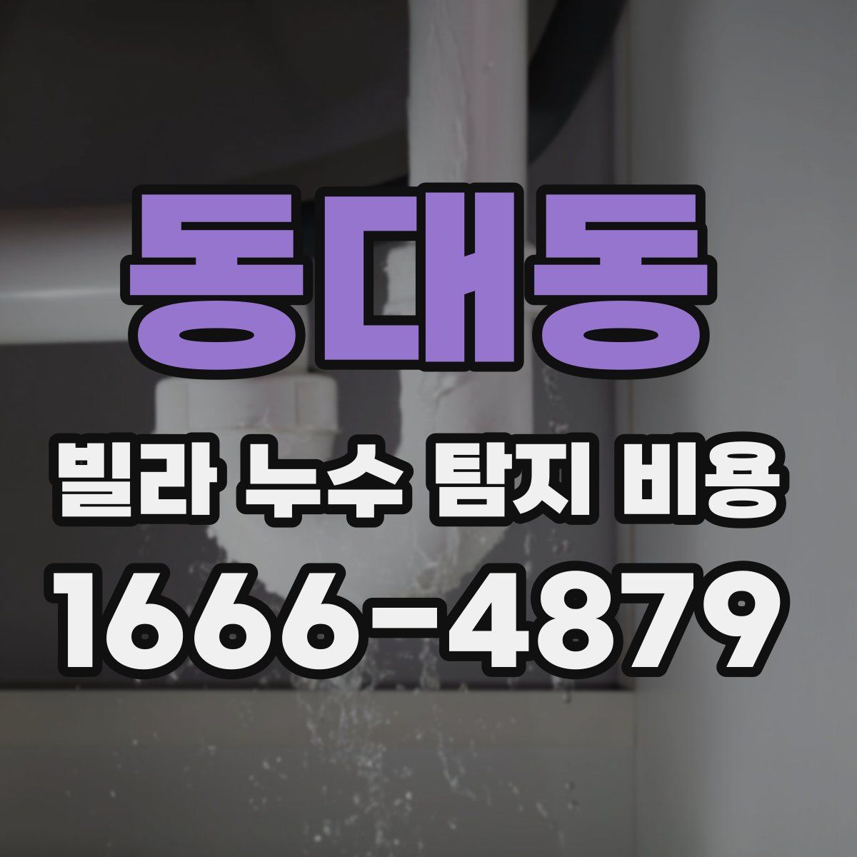 동대동 빌라 누수 탐지 비용