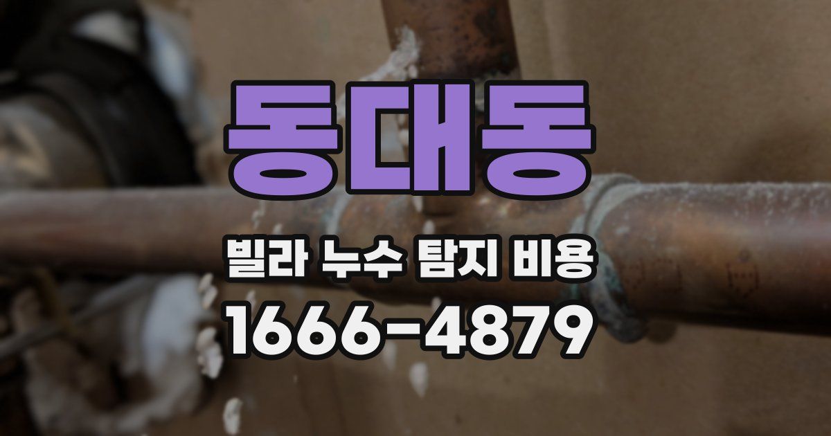 동대동 빌라 누수 탐지 비용