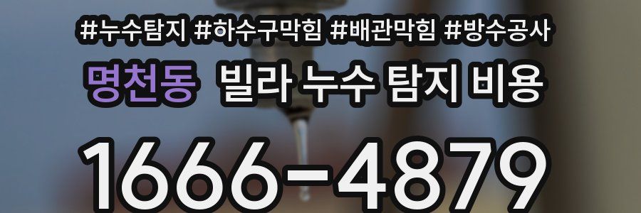 명천동 빌라 누수 탐지 비용