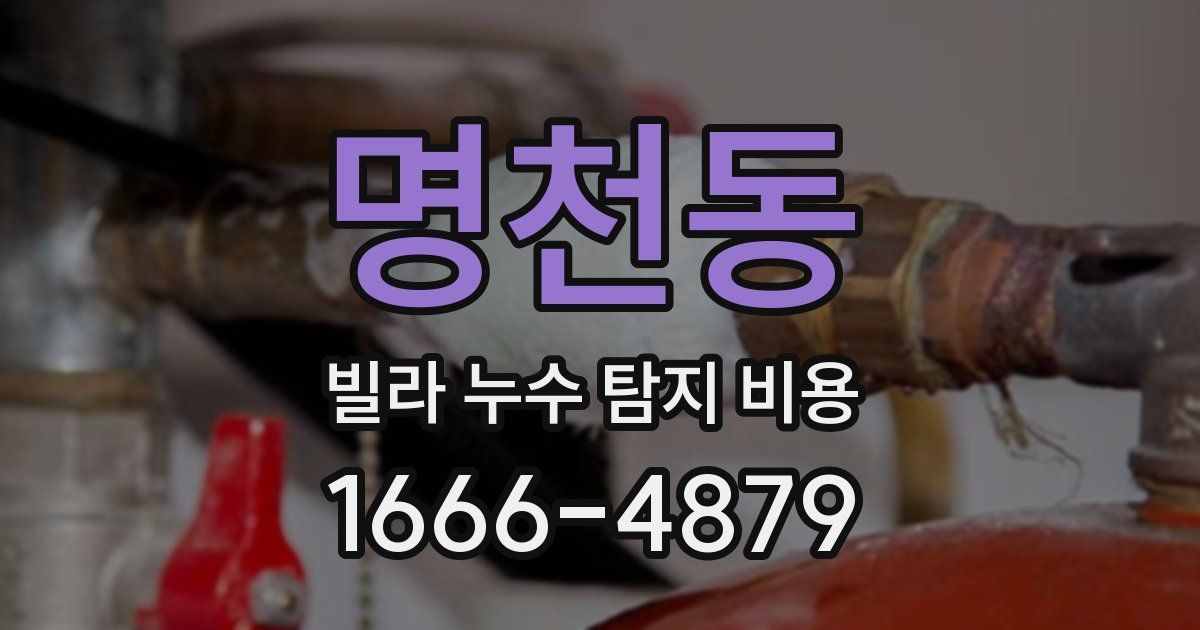 명천동 빌라 누수 탐지 비용