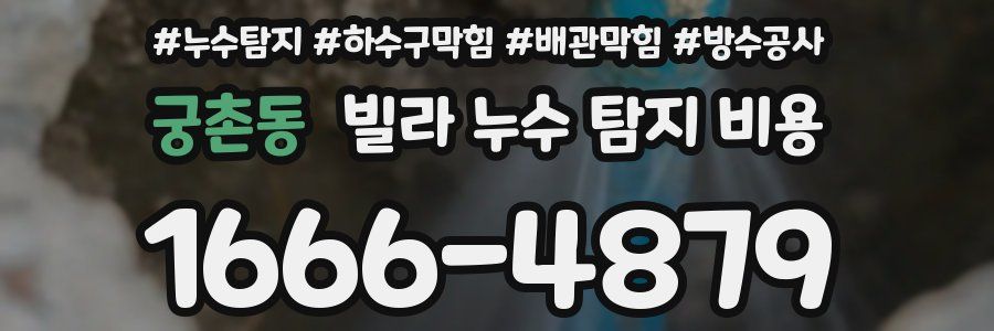 궁촌동 빌라 누수 탐지 비용