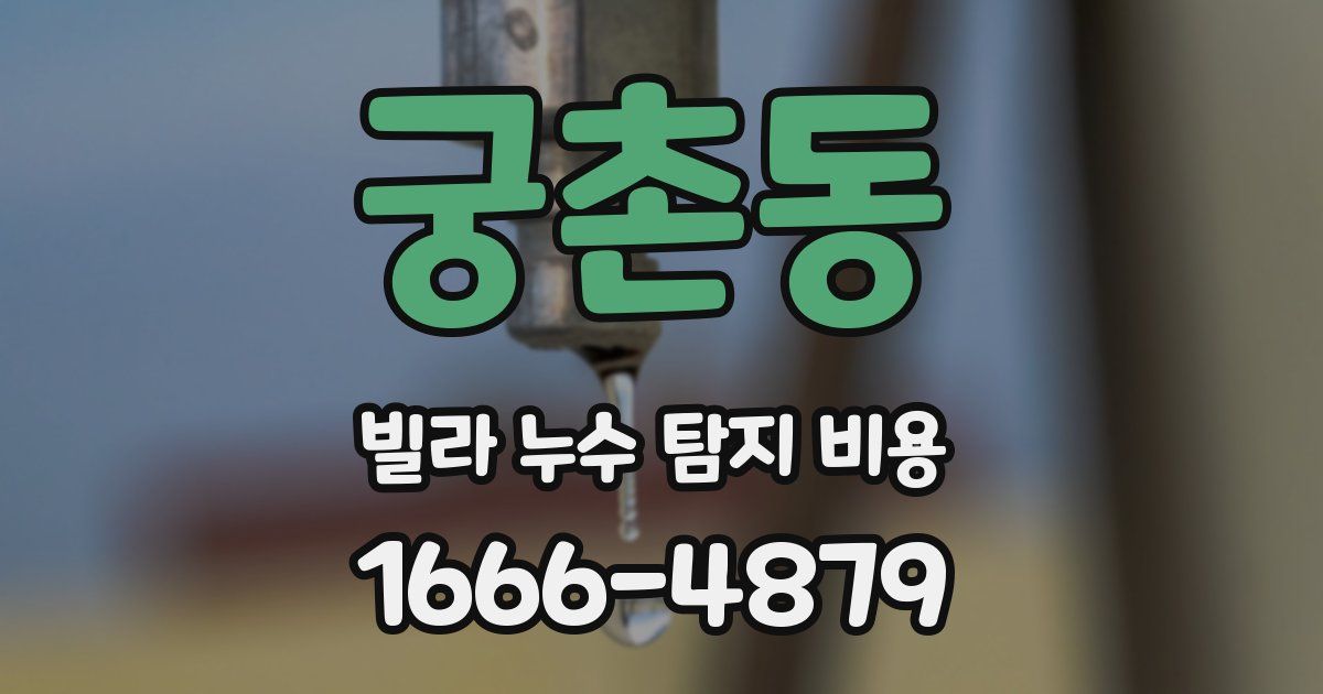 궁촌동 빌라 누수 탐지 비용