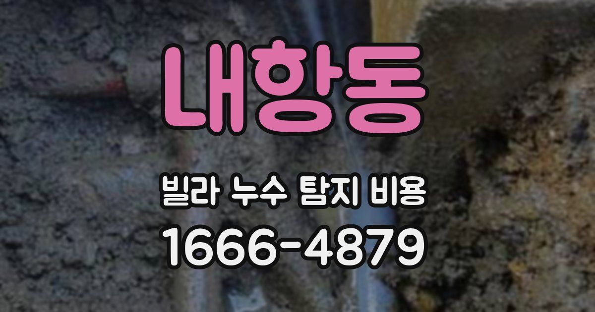 내항동 빌라 누수 탐지 비용