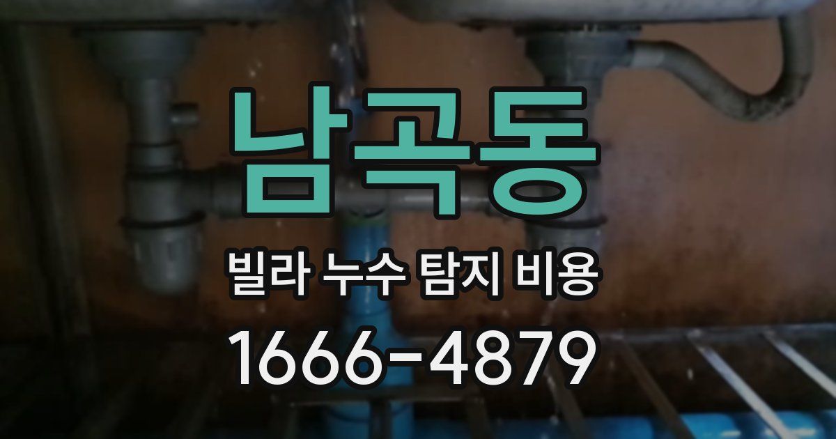 남곡동 빌라 누수 탐지 비용