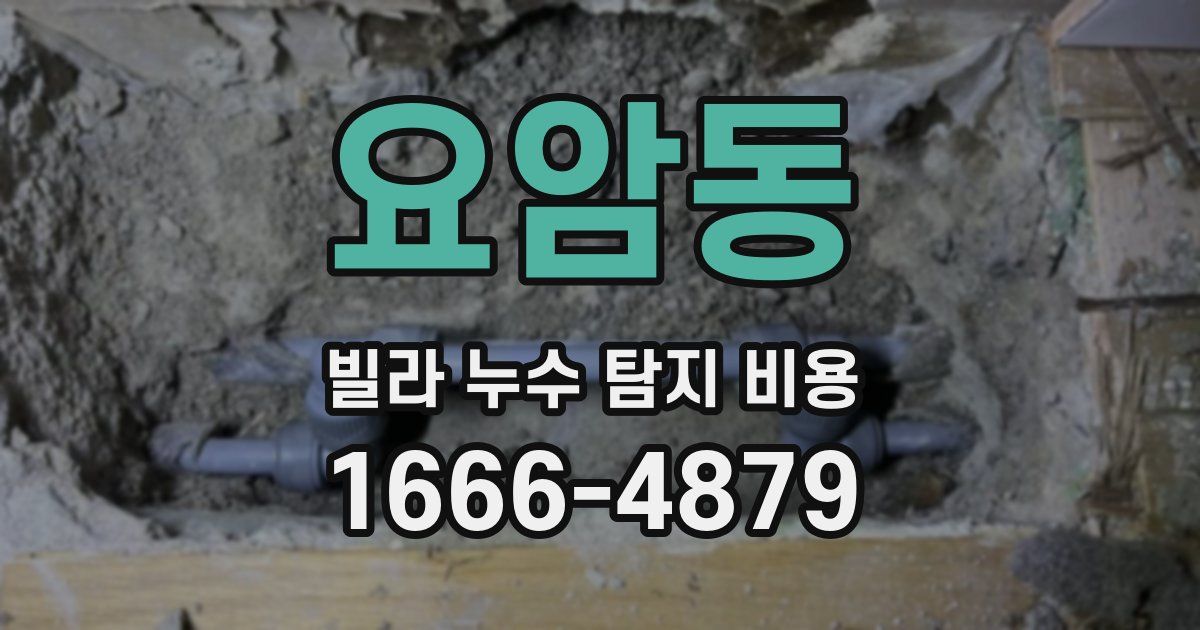 요암동 빌라 누수 탐지 비용