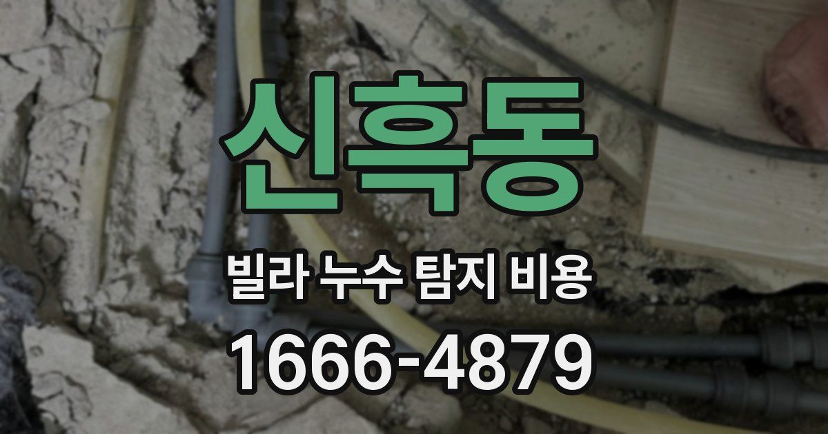 신흑동 빌라 누수 탐지 비용